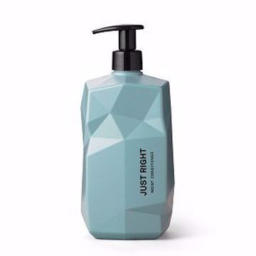 Just Right Moist Conditioner 300 ml